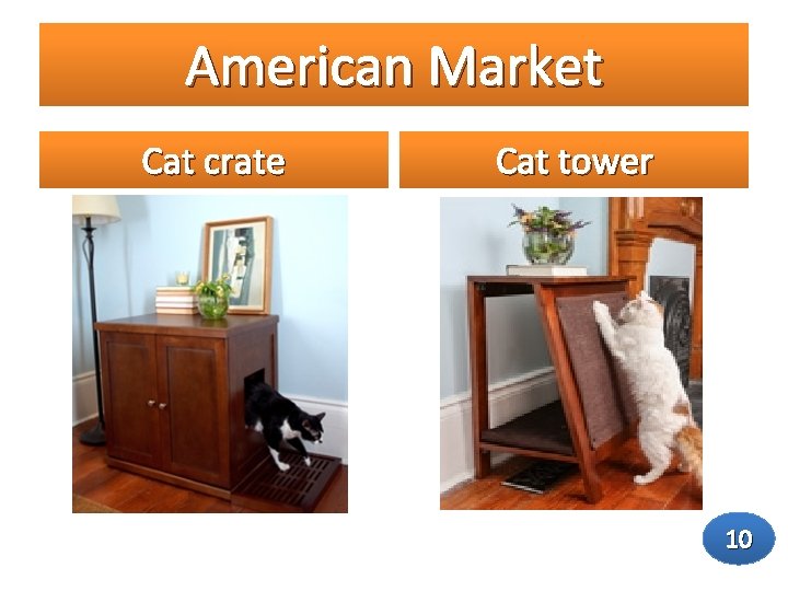 American Market Cat crate Cat tower 10 