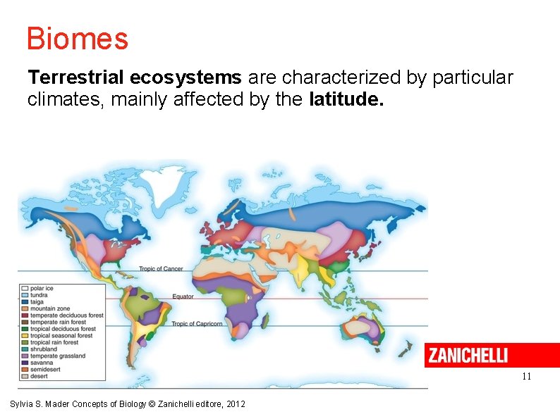 Biomes Terrestrial ecosystems are characterized by particular climates, mainly affected by the latitude. 11