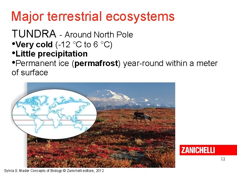 Major terrestrial ecosystems TUNDRA - Around North Pole • Very cold (-12 °C to