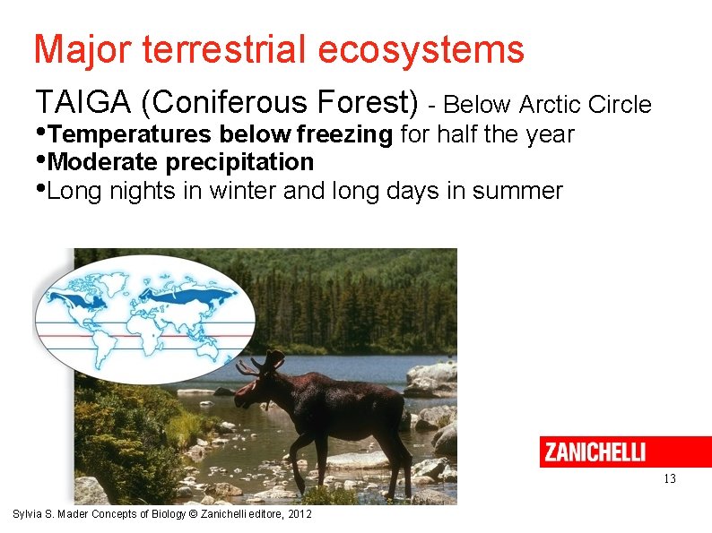 Major terrestrial ecosystems TAIGA (Coniferous Forest) - Below Arctic Circle • Temperatures below freezing