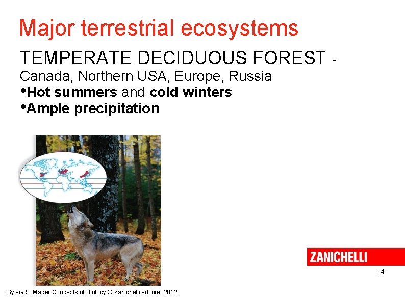 Major terrestrial ecosystems TEMPERATE DECIDUOUS FOREST Canada, Northern USA, Europe, Russia • Hot summers