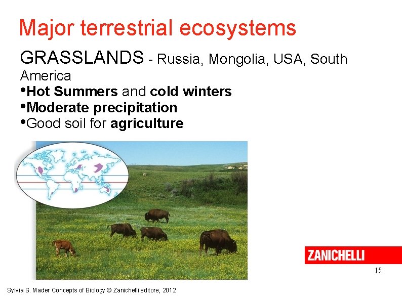 Major terrestrial ecosystems GRASSLANDS - Russia, Mongolia, USA, South America • Hot Summers and