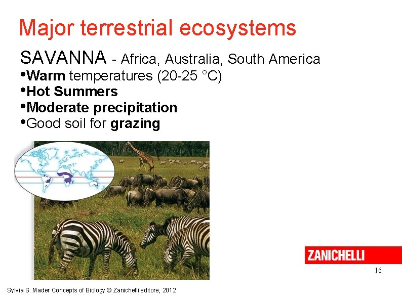Major terrestrial ecosystems SAVANNA - Africa, Australia, South America • Warm temperatures (20 -25