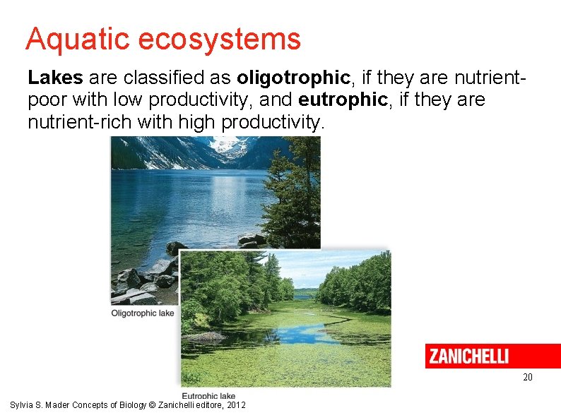 Aquatic ecosystems Lakes are classified as oligotrophic, if they are nutrientpoor with low productivity,