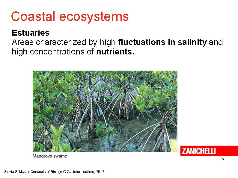 Coastal ecosystems Estuaries Areas characterized by high fluctuations in salinity and high concentrations of