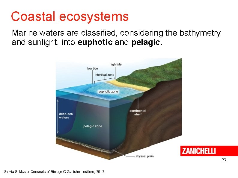 Coastal ecosystems Marine waters are classified, considering the bathymetry and sunlight, into euphotic and