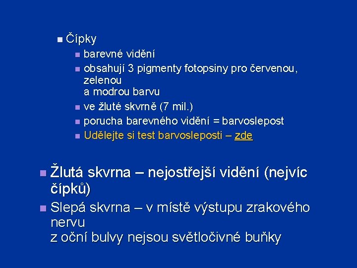 n Čípky barevné vidění n obsahují 3 pigmenty fotopsiny pro červenou, zelenou a modrou