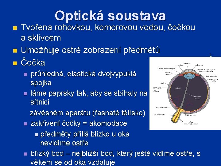 Optická soustava n n n Tvořena rohovkou, komorovou vodou, čočkou a sklivcem Umožňuje ostré