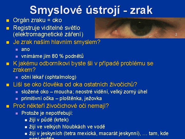 Smyslové ústrojí - zrak n n n Orgán zraku = oko Registruje viditelné světlo