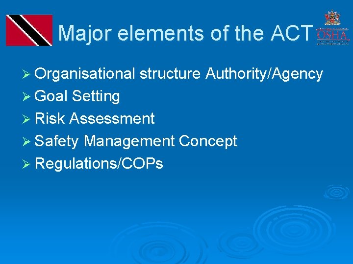 Major elements of the ACT Ø Organisational structure Authority/Agency Ø Goal Setting Ø Risk