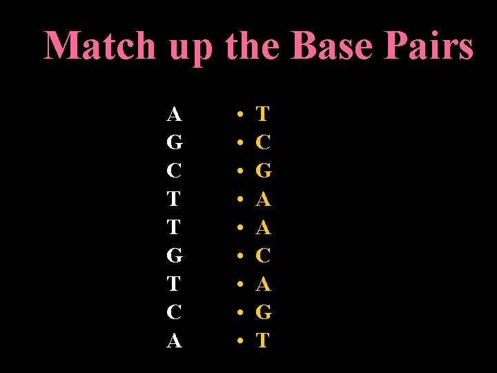 Match up the Base Pairs A G C T T G T C A