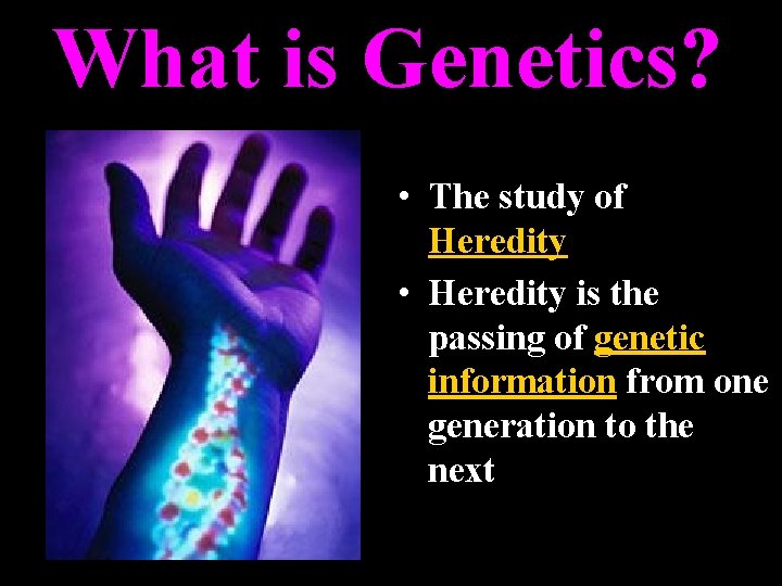 What is Genetics? • The study of Heredity • Heredity is the passing of