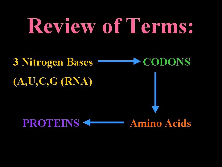 Review of Terms: 3 Nitrogen Bases CODONS (A, U, C, G (RNA) PROTEINS Amino