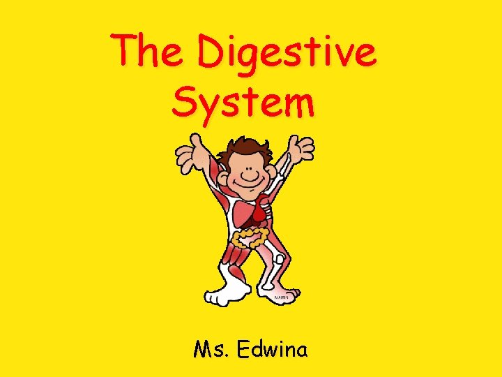 The Digestive System Ms. Edwina 