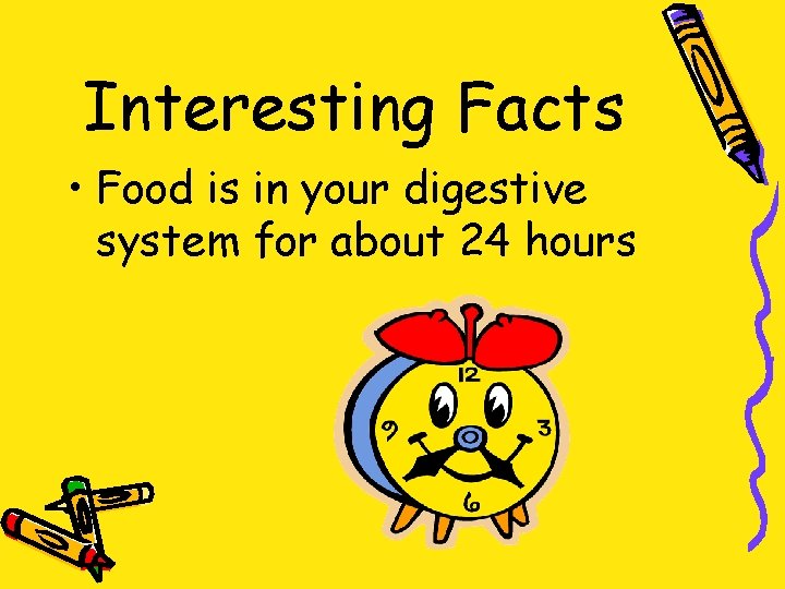 Interesting Facts • Food is in your digestive system for about 24 hours 