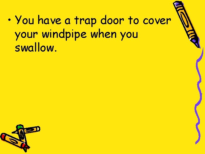  • You have a trap door to cover your windpipe when you swallow.