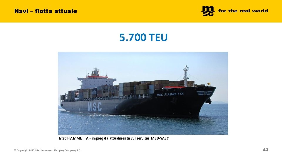 Navi – flotta attuale 5. 700 TEU MSC FIAMMETTA - impiegata attualmente sul servizio Navi – flotta attuale 5. 700 TEU MSC FIAMMETTA - impiegata attualmente sul servizio