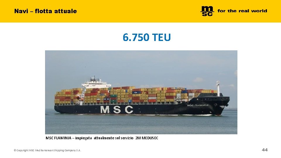 Navi – flotta attuale 6. 750 TEU MSC FLAMINIA – impiegata attualmente sul servizio Navi – flotta attuale 6. 750 TEU MSC FLAMINIA – impiegata attualmente sul servizio