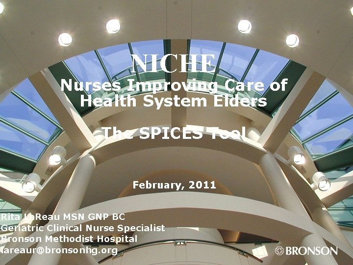 NICHE Nurses Improving Care of Health System Elders The SPICES Tool February, 2011 Rita