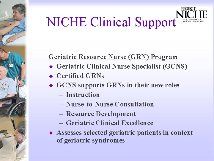 NICHE Clinical Support Geriatric Resource Nurse (GRN) Program ¨ Geriatric Clinical Nurse Specialist (GCNS)