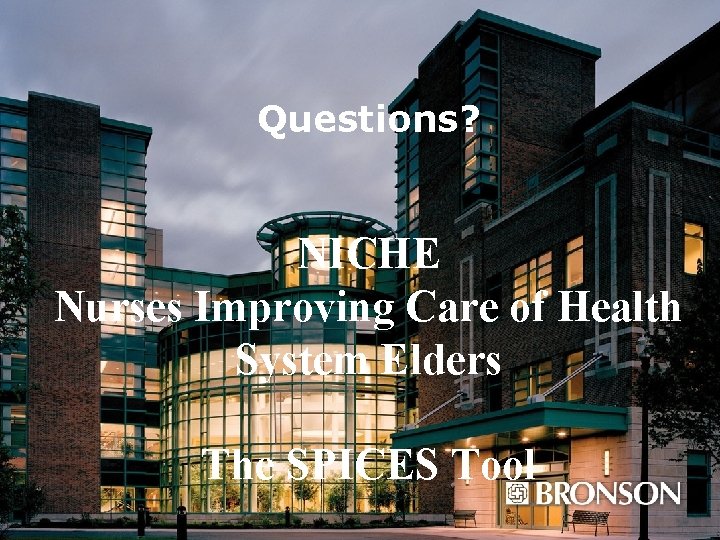 Questions? NICHE Nurses Improving Care of Health System Elders The SPICES Tool 