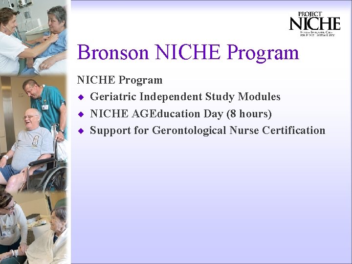 Bronson NICHE Program ¨ Geriatric Independent Study Modules ¨ NICHE AGEducation Day (8 hours)