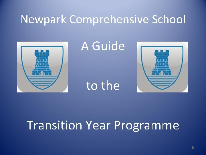 Newpark Comprehensive School A Guide to the Transition Year Programme 1 