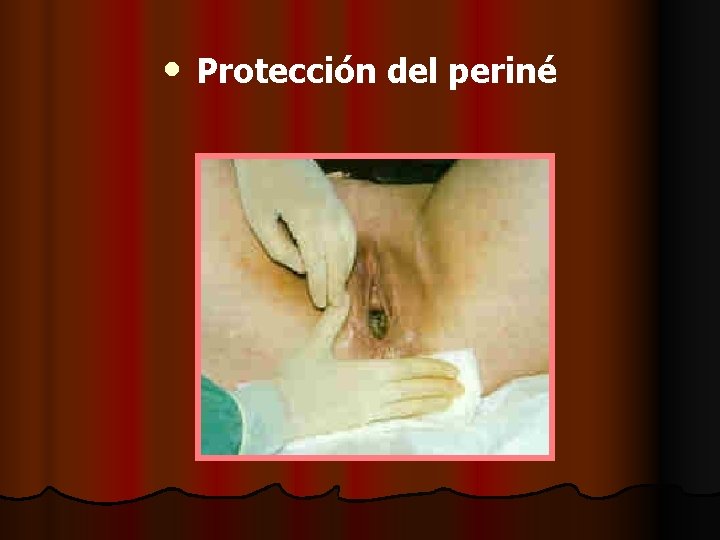  • Protección del periné 