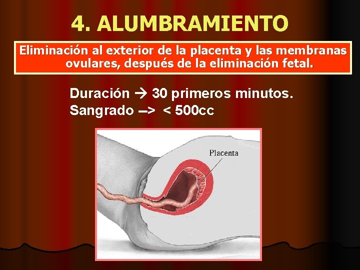 4. ALUMBRAMIENTO Eliminación al exterior de la placenta y las membranas ovulares, después de