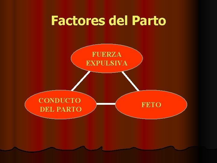 Factores del Parto FUERZA EXPULSIVA CONDUCTO DEL PARTO FETO 