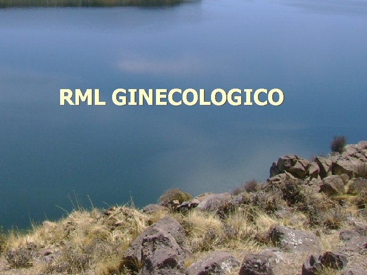 RML GINECOLOGICO 