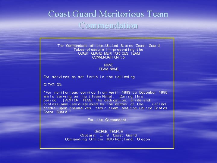 Coast Guard Meritorious Team Commendation 