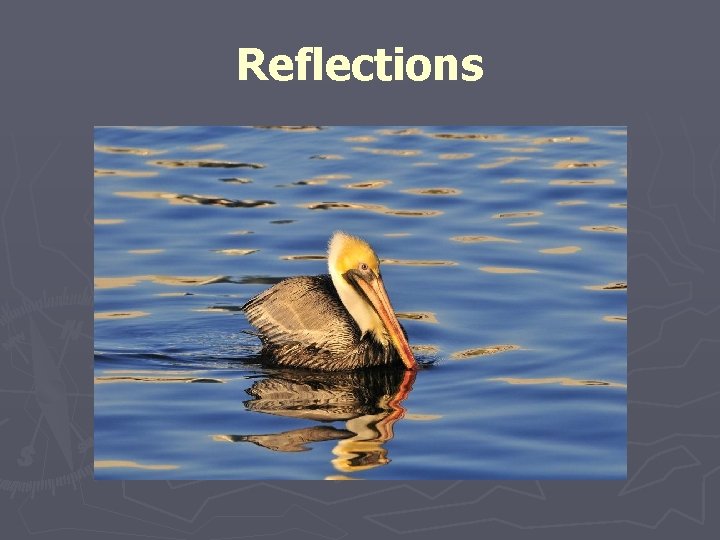 Reflections Reflections