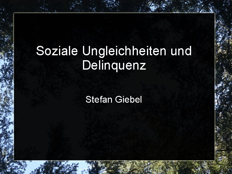 Soziale Ungleichheiten und Delinquenz Stefan Giebel 