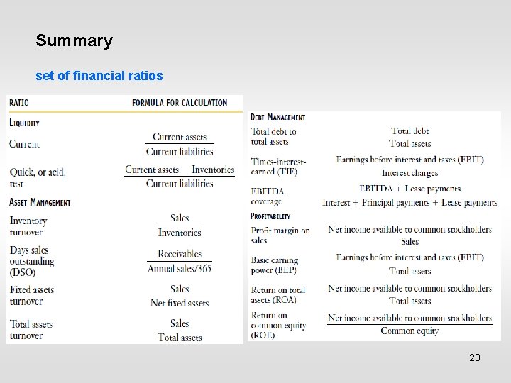 Summary set of financial ratios 20 