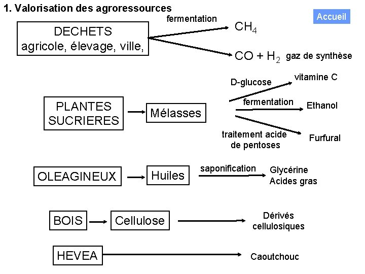 1. Valorisation des agroressources fermentation DECHETS agricole, élevage, ville, Accueil CH 4 CO +