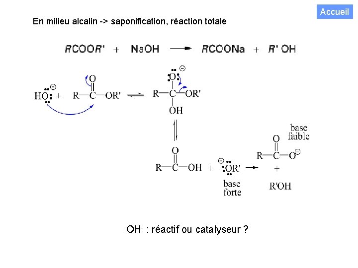 En milieu alcalin -> saponification, réaction totale OH- : réactif ou catalyseur ? Accueil
