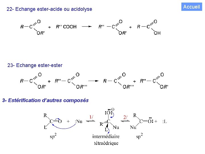22 - Echange ester-acide ou acidolyse 23 - Echange ester-ester 3 - Estérification d’autres