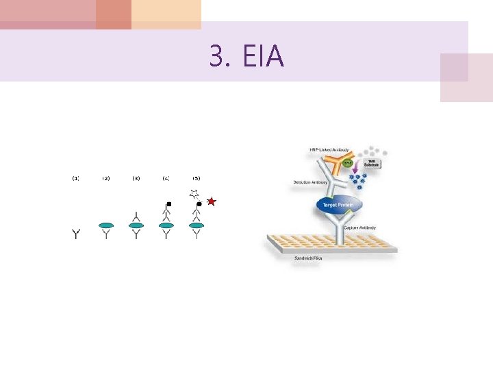 3. EIA 