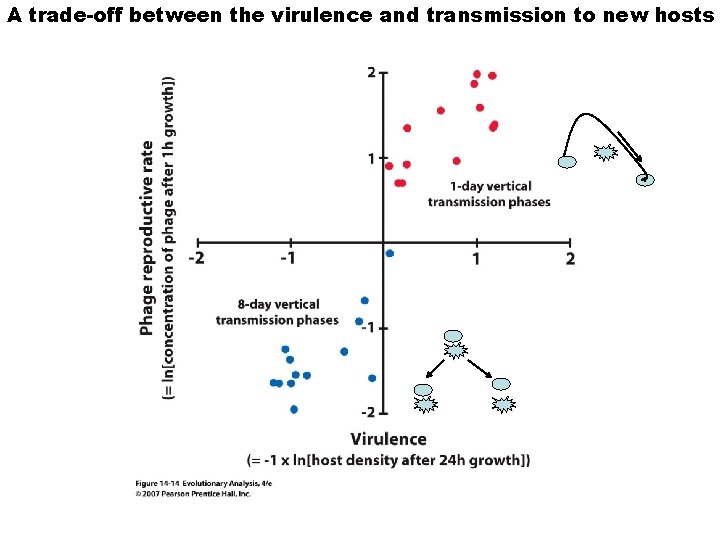 A trade-off between the virulence and transmission to new hosts 