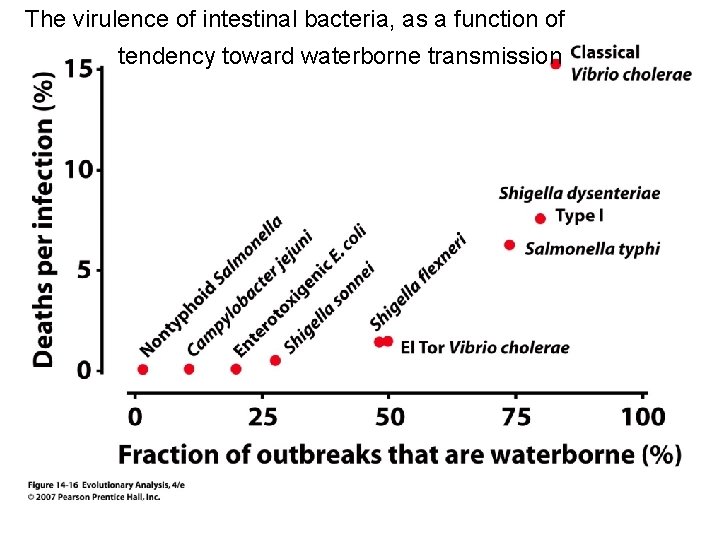 The virulence of intestinal bacteria, as a function of tendency toward waterborne transmission 