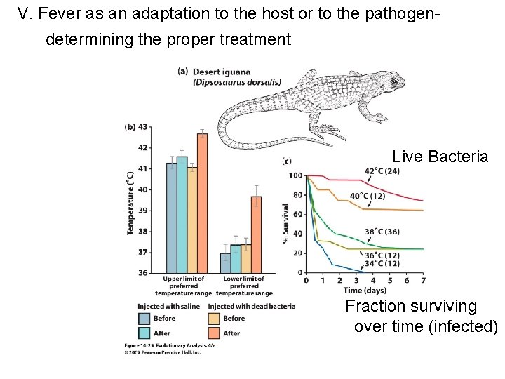 V. Fever as an adaptation to the host or to the pathogendetermining the proper