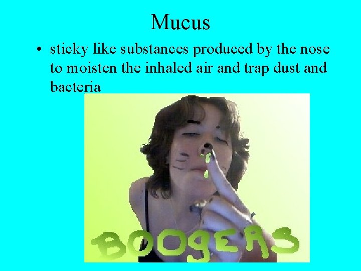 Mucus • sticky like substances produced by the nose to moisten the inhaled air