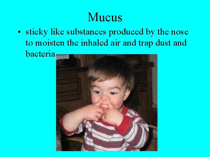 Mucus • sticky like substances produced by the nose to moisten the inhaled air