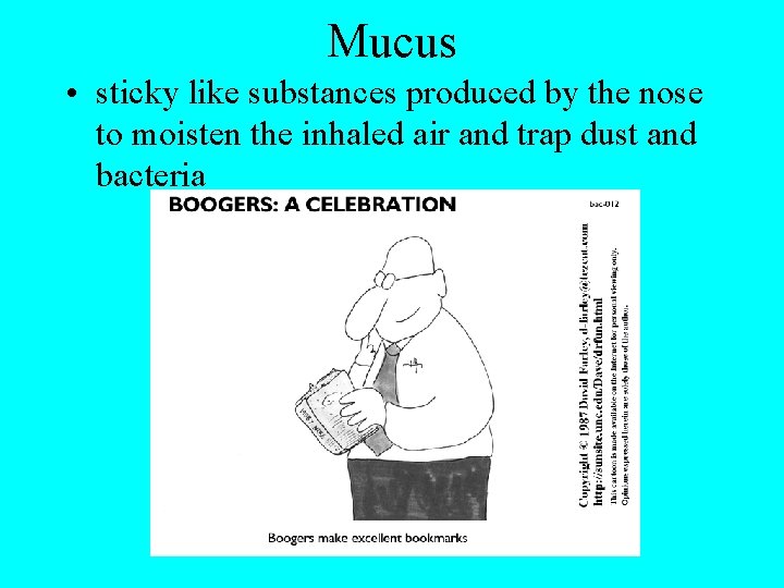 Mucus • sticky like substances produced by the nose to moisten the inhaled air
