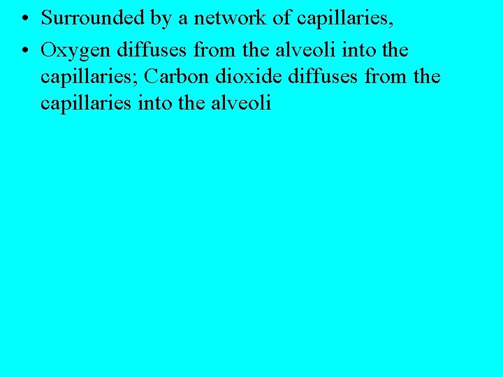  • Surrounded by a network of capillaries, • Oxygen diffuses from the alveoli