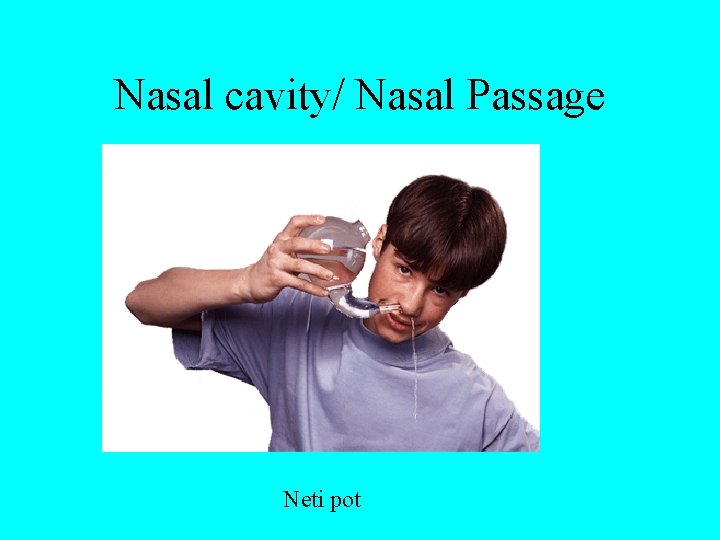 Nasal cavity/ Nasal Passage Neti pot 