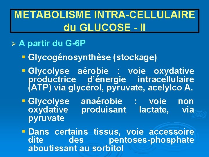 METABOLISME INTRA-CELLULAIRE du GLUCOSE - II Ø A partir du G-6 P § Glycogénosynthèse