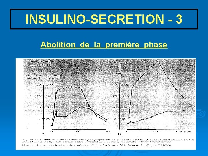 INSULINO-SECRETION - 3 Abolition de la première phase 