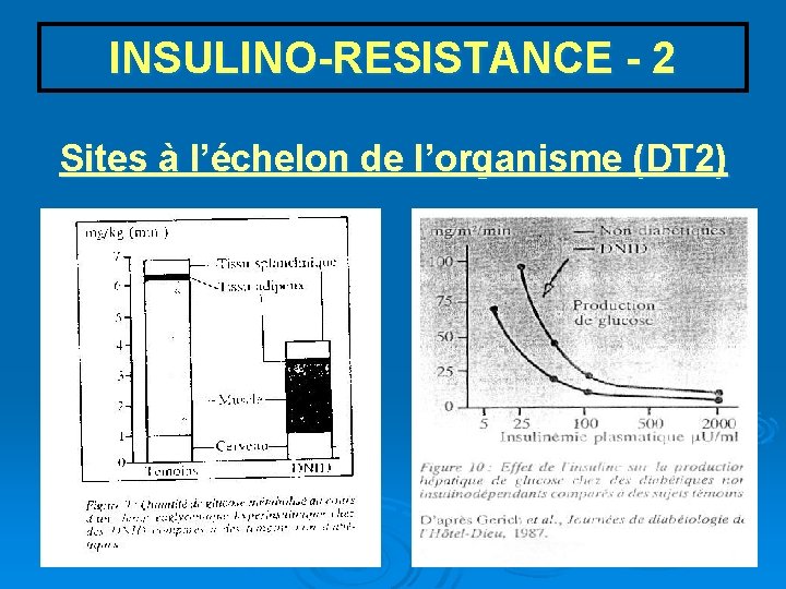 INSULINO-RESISTANCE - 2 Sites à l’échelon de l’organisme (DT 2) 